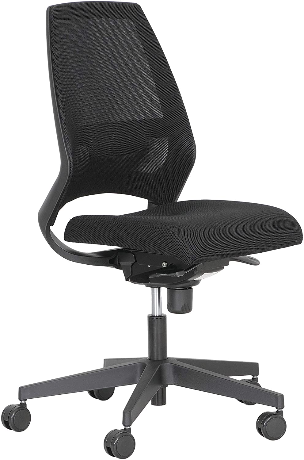 kenari1__992x1500.jpg