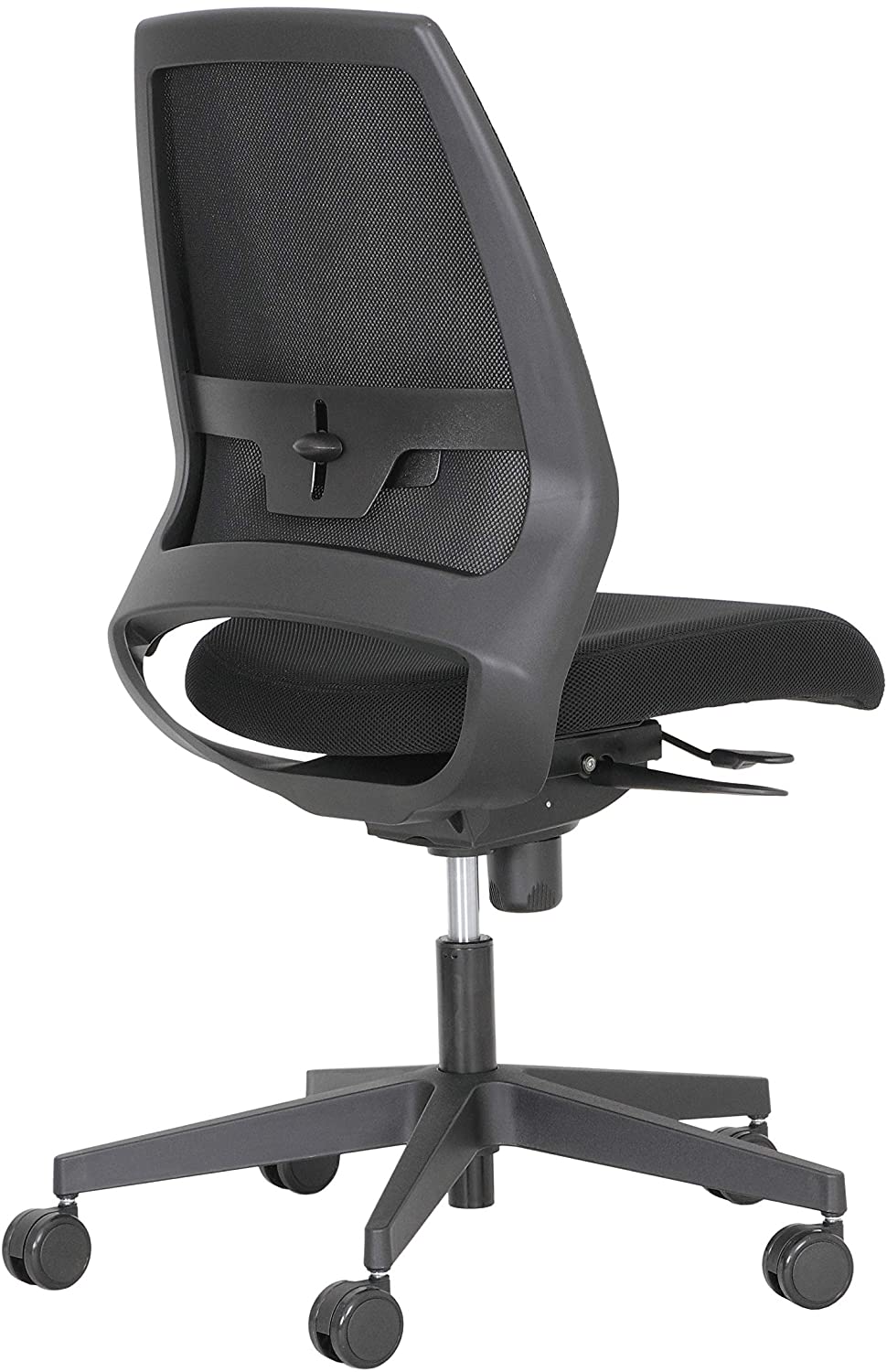 kenari2__970x1500.jpg