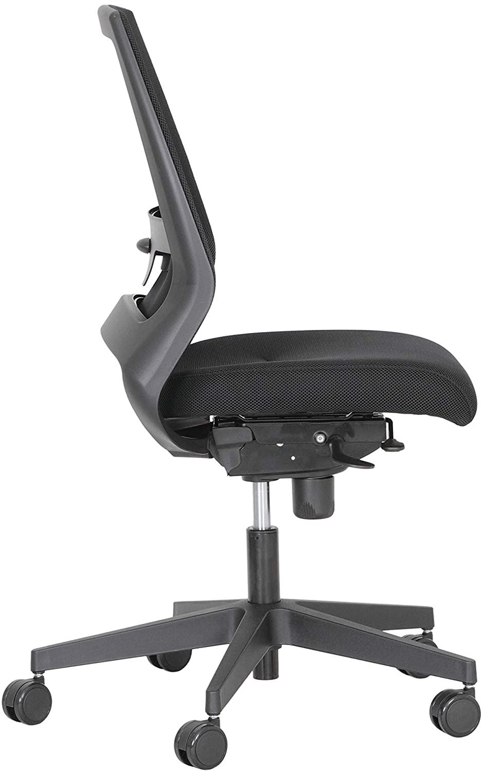 kenari3__940x1500.jpg
